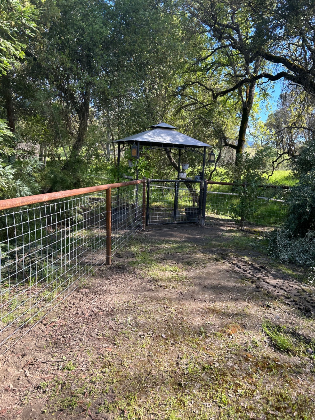 Pipe and wire mesh garden fence with a custom walk-through gate