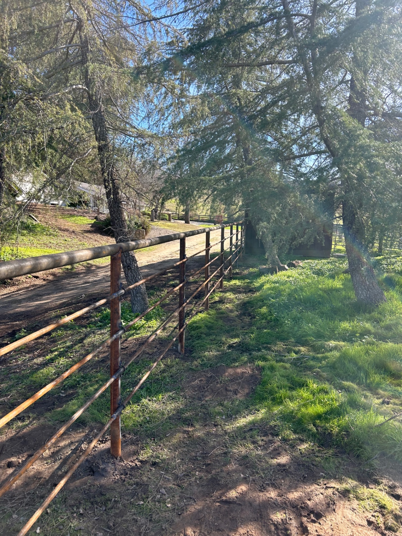 Four-rail welded pipe fence lining a ranch driveway