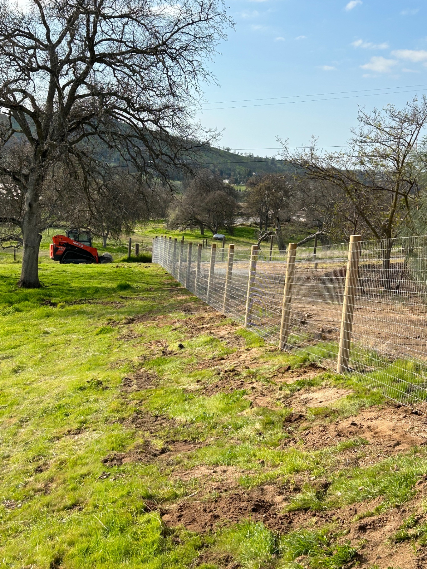 Non-climb field wire fence on wood posts across a green pasture